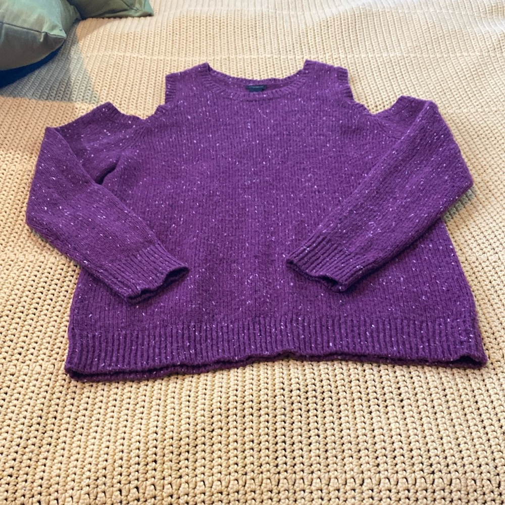 Ann Taylor XL cold should sweater